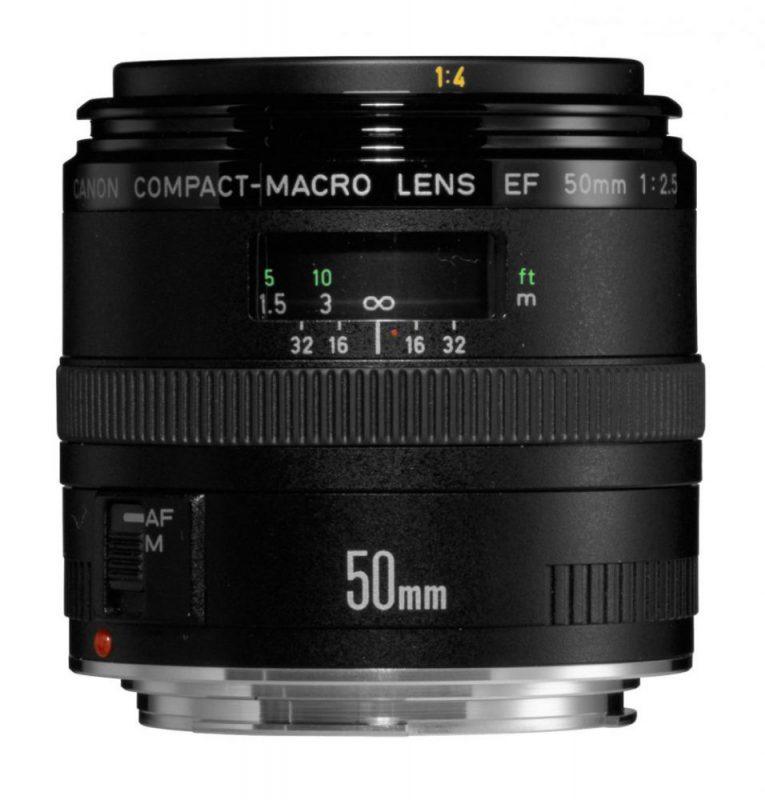 EF50mm F2.5 コンパクトマクロ 2
