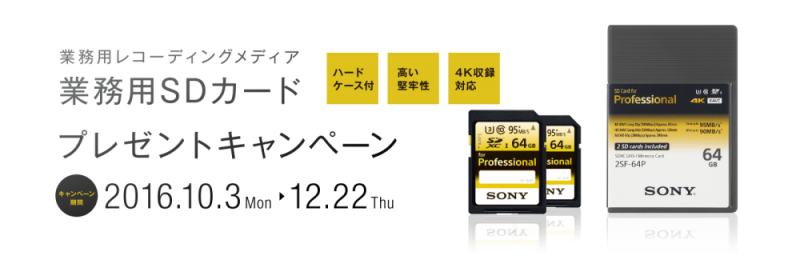 SONY業務用SDカード 2SF-64P
