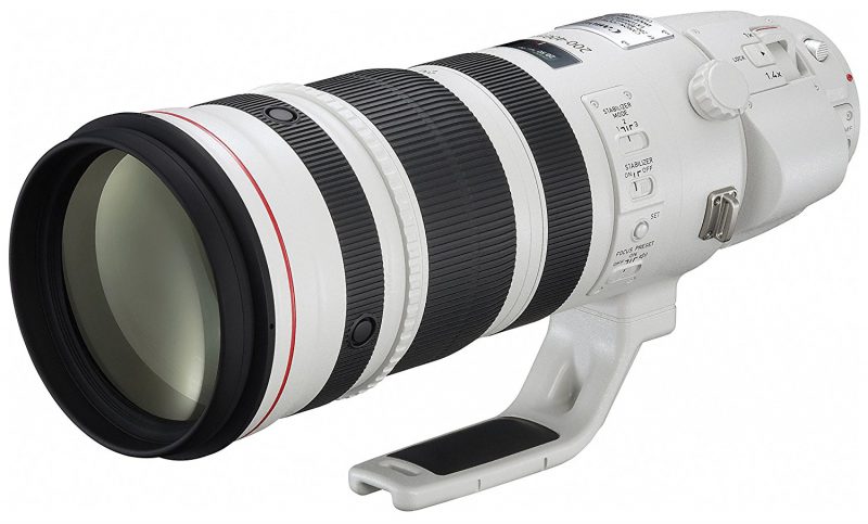 EF200-400mm F4L IS USM エクステンダー 1.4×